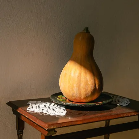 بيت ضيافة Petrichor 3*