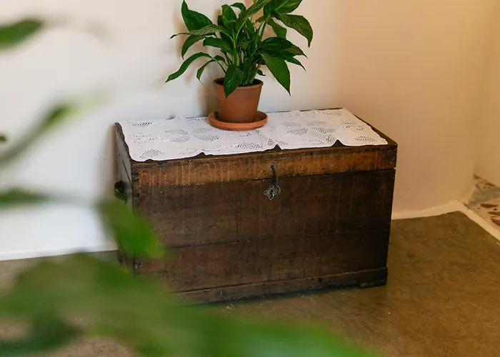 Affittacamere Petrichor